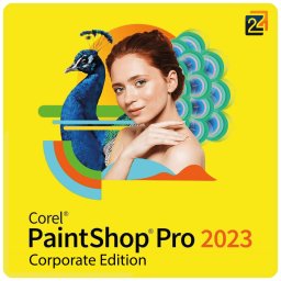 Corel PaintShop Pro 2023 Corporate Edition 1 User Neukauf
