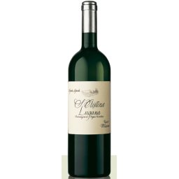 Zenato Lugana Santa Cristina Massoni