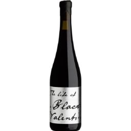 BlankBottle The Life of a Black Valentine