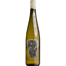 BlankBottle Orbitofrontal Cortex
