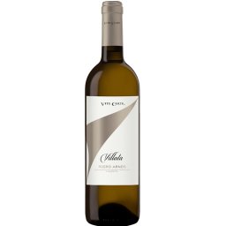 Vite Colte Roero Arneis Villata