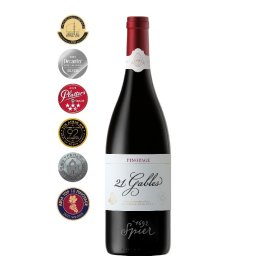 Spier 21 Gables Pinotage