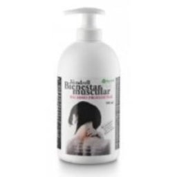 BALSAMO BIENESTAR JENGIBRE-ARNICA 500ml. XXTBVEN-V016