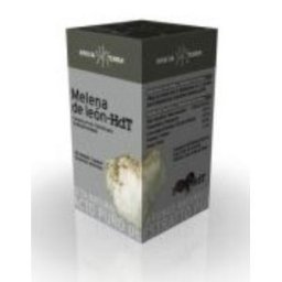 MICO LEO (melena de leon) HDT 70cap. XXTB499-0006