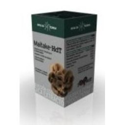 MICO MAI (maitake) HDT 70cap. XXTB499-0005
