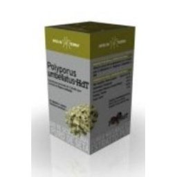 MICO POLYPOR (polyporus) HDT 70cap. XXTB499-0007