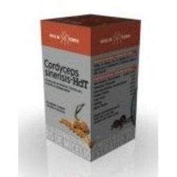 MICO CORD (cordyceps) HDT 70cap. XXTB499-0008