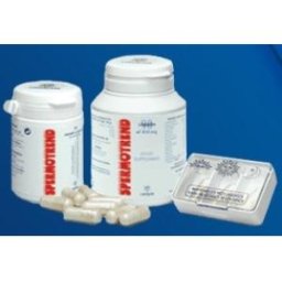 SPERMOTREND 90cap. XXTBCAT-0040