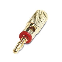 BANANA MACHO ROJA DORADA 4mm