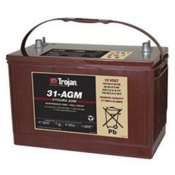 Batería para apiladora 12v 100Ah Trojan 31-AGM