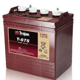 Batería para buggy de golf 8V 170Ah Trojan T-875