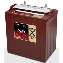 Batería para buggy de golf 8v 160Ah Trojan DC-8V
