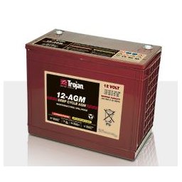Batería AGM Ciclo profundo Trojan 12-AGM 12V 140Ah