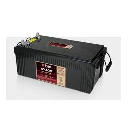 Batería AGM Trojan 8D-AGM 12V 230Ah Ciclo profundo