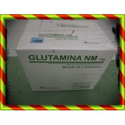 GLUTAMINA NM 10 GR 120SOBRES 502120 GLUTAMINA NM - (10 G 120 SOBRE NEUTRO )