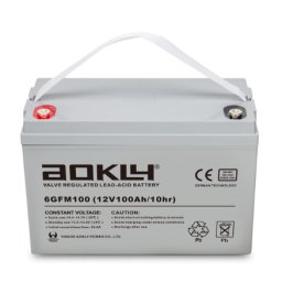 Batería de plomo AGM Aokly Power 6GFM100 12V 100Ah