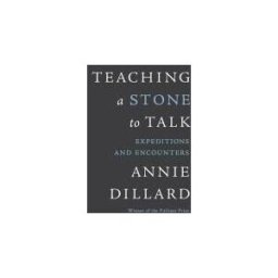 Teaching a Stone to Talk