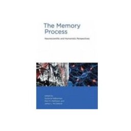 Memory Process