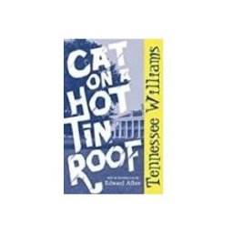 Cat On a Hot Tin Roof