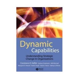 Dynamic Capabilities
