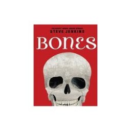 Bones: Skeletons and How They Work