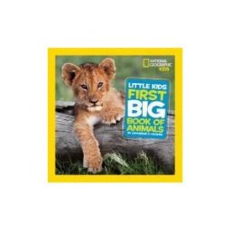 Little Kids First Big Book of Animals