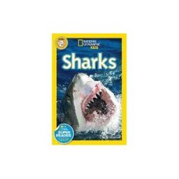 Sharks!