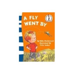 A Fly Went by