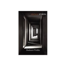 Darkness Visible : A Memoir of Madness