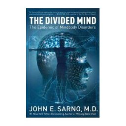 The Divided Mind