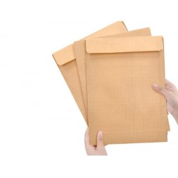 Sobre liderpapel bolsa n.12 kraft folio especial 260x360mm tira de silicona caja de 250 unidades