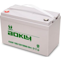 Batería de plomo AGM Aokly 6EVF100 12V 100AH