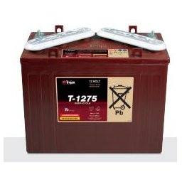 Batería para elevador 12V 150Ah Trojan T1275