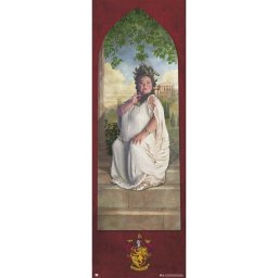 Erik Póster de Puerta Harry Potter Gryffindor Password 158x53cm