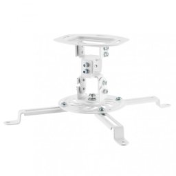 Aisens CP03TSR-129 Soporte de Techo para Proyector VESA 320x320