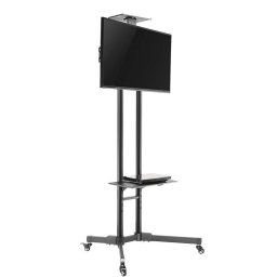 NewStar M1700E Soporte de Pie para TV 32''/55" VESA 600x450mm Máx 35Kg