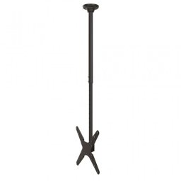 NewStar Soporte de Techo para TV 37"-75" VESA 400x400 Máx. 50kg