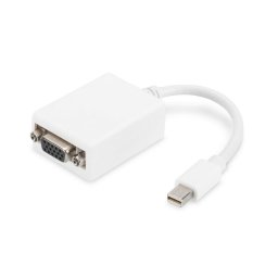 Digitus Cable Adaptador Mini Displayport a VGA 15cm Blanco