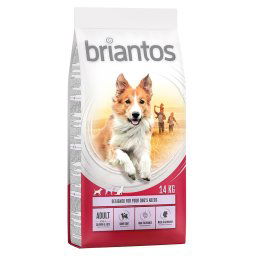 Briantos pienso para perros - Pack Ahorro - Adult Salmón y arroz (2 x 14 kg)