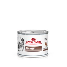 Royal Canin Veterinary Canine Recovery Mousse perros y gatos - 24 x 195 g