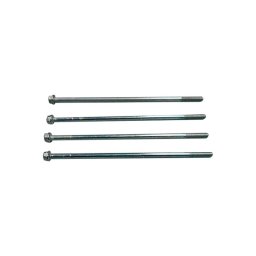 Varillas motor Victoria Plus 1,5 - 3 CV III AstralPool 4405010145