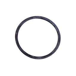 Junta tórica tapa superior ducha astralpool 4401043609