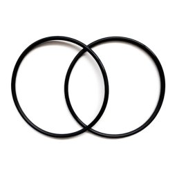 Junta tórica electrodo zodiac tri (pack 2 uds.) r0739000