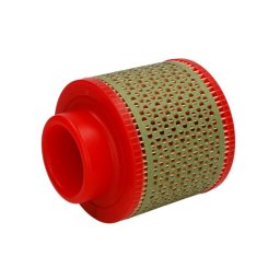 Filtro de aire MANN-FILTER C 1131