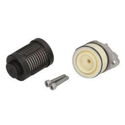 Filtro aceite, diferencial BORG WARNER BW2003085