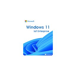 Windows 11 IOT ENT LTSB ENTRY (64 bits) instalado en TPV