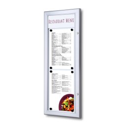 Vitrina de exterior para 2 DIN A4 en VERTICAL