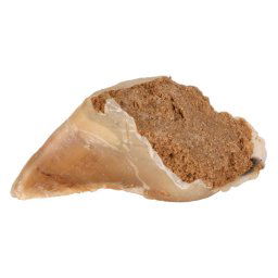 Trixie pezuña rellena con paté de carne para perros - Pack % - 10 x 115 g