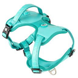 Max & Molly arnés deportivo - Matrix 2.0, turquesa - Tamaño S: 44 - 55 cm de contorno del pecho