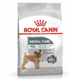 Royal Canin Mini Dental Care - Pack % - 2 x 8 kg